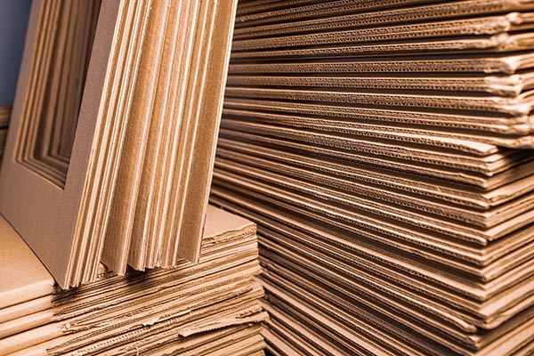 The Backbone of Corrugated Board: Flute Types and Performance
